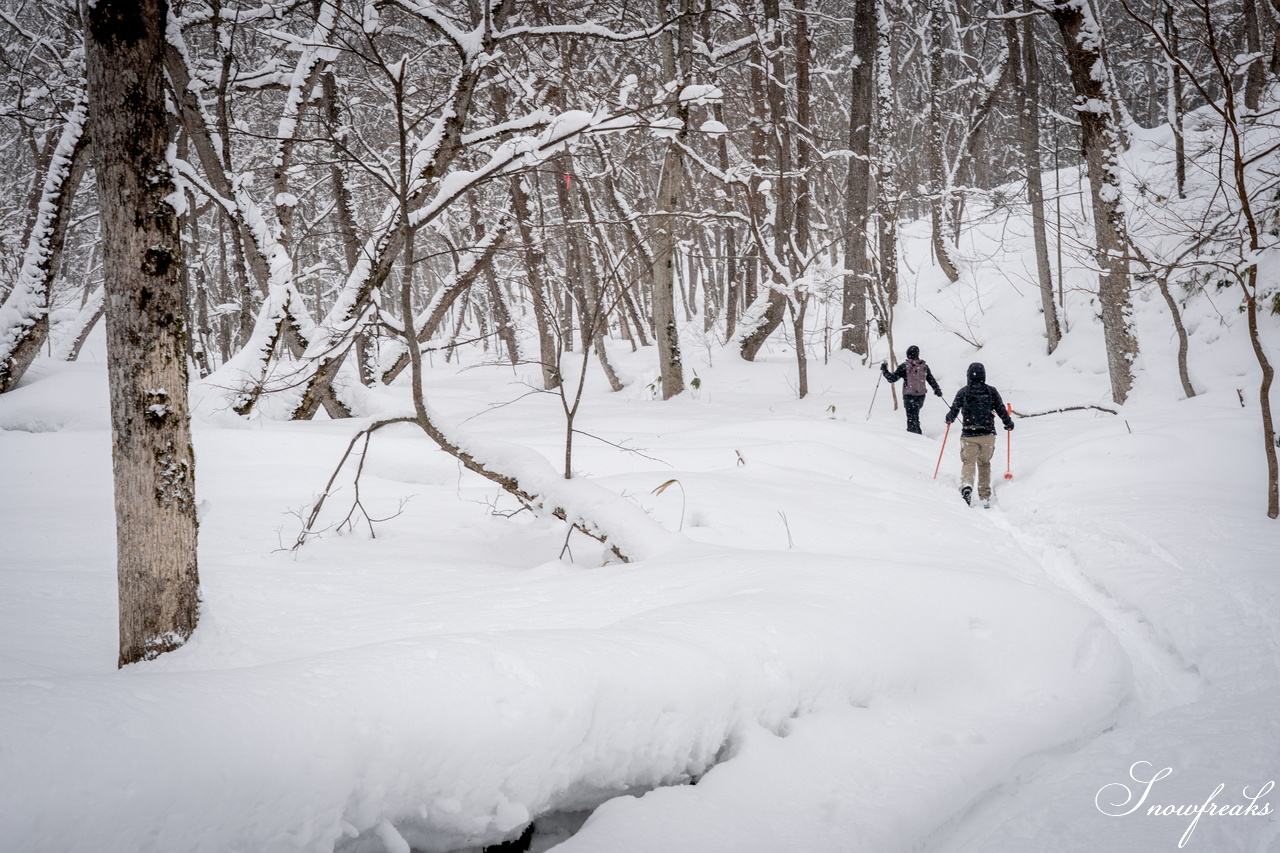 岩見沢市のスキーハイキング専門店『well-tuned』presents... 